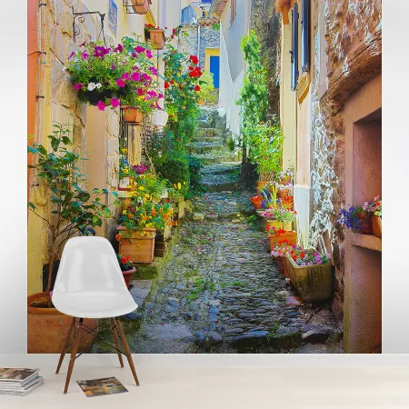 Фотообои Французская улочка в цветах, арт. 44256, пример фотообоев на стене