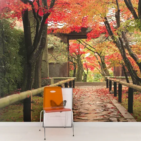 Фотообои Осенняя аллея. Япония, арт. 44261, пример фотообоев на стене