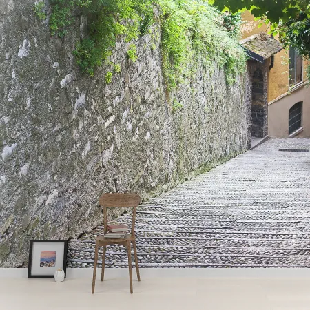 Фотообои Лестница в каменном переулке, арт. 44301, пример фотообоев на стене