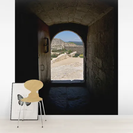 Фотообои Дверь в форме арки, арт. 44322, пример фотообоев на стене
