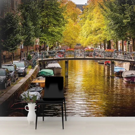 Фотообои Амстердам, арт. 44363, пример фотообоев на стене
