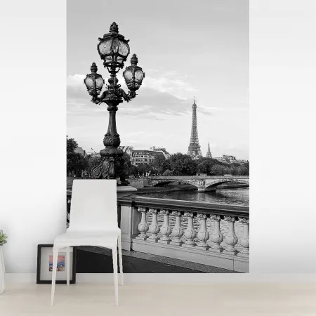 Фотообои Париж, арт. 45122, пример фотообоев на стене