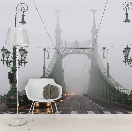 Фотообои Мост Свободы, арт. 45301, пример фотообоев на стене
