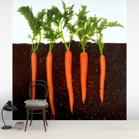 Фотообои Морковь, арт. 47108, пример фотообоев на стене