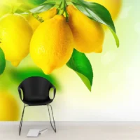 Фотообои Лимоны на ветке, арт. 47162, пример фотообоев на стене