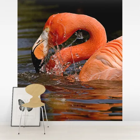 Фотообои Фламинго, арт. 48126, пример фотообоев на стене