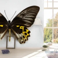Фотообои Бабочка, арт. 48150, пример фотообоев в интерьере