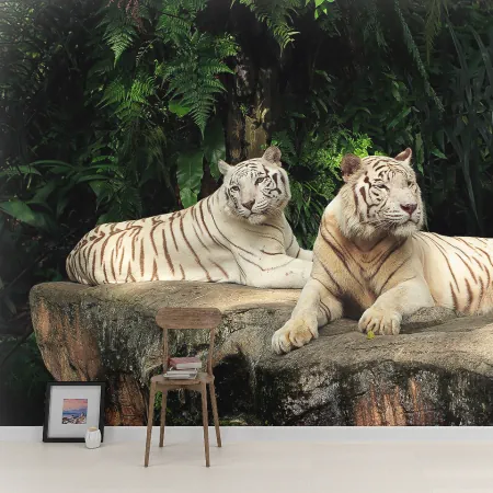 Фотообои Тигры, арт. 48161, пример фотообоев на стене