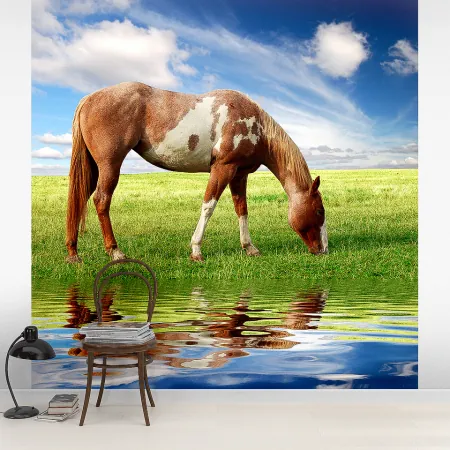 Фотообои Лошадь, арт. 48178, пример фотообоев на стене