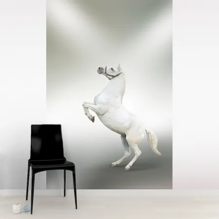 Фотообои Лошадь, арт. 48182, пример фотообоев на стене