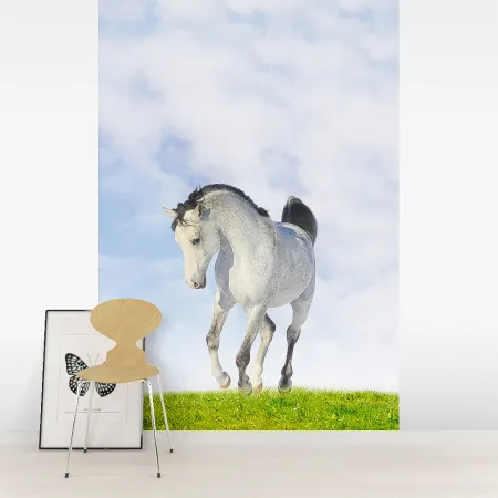 Фотообои Лошадь, арт. 48200, пример фотообоев на стене