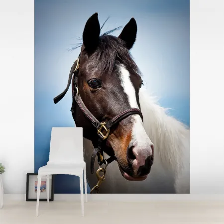 Фотообои Лошадь, арт. 48208, пример фотообоев на стене