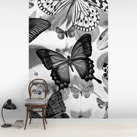 Фотообои Бабочка, арт. 48270, пример фотообоев на стене