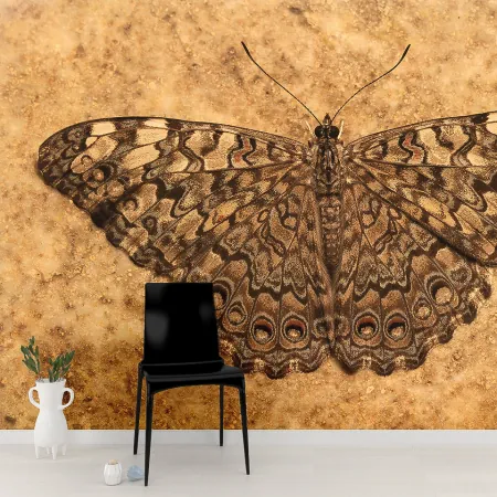 Фотообои Бабочка, арт. 48274, пример фотообоев на стене