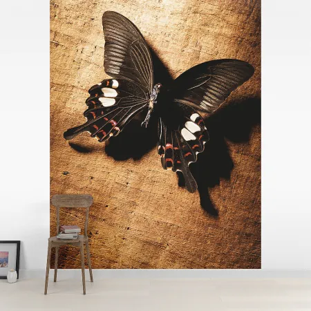 Фотообои Бабочка, арт. 48286, пример фотообоев на стене