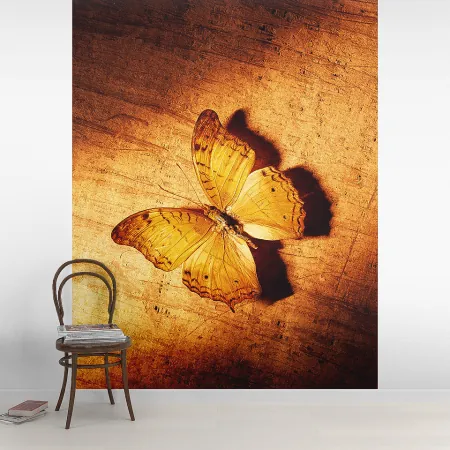 Фотообои Бабочка, арт. 48288, пример фотообоев на стене