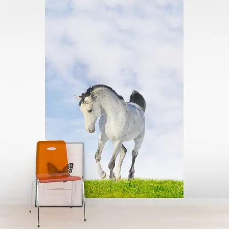 Фотообои Лошадь, арт. 48292, пример фотообоев на стене