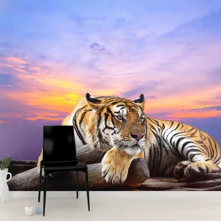 Фотообои Тигр на фоне закатного неба, арт. 48305, пример фотообоев на стене