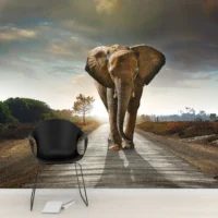 Фотообои Слон, шагающий по шоссе, арт. 48325, пример фотообоев на стене
