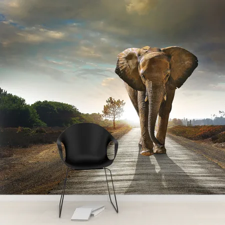 Фотообои Слон, шагающий по шоссе, арт. 48325, пример фотообоев на стене