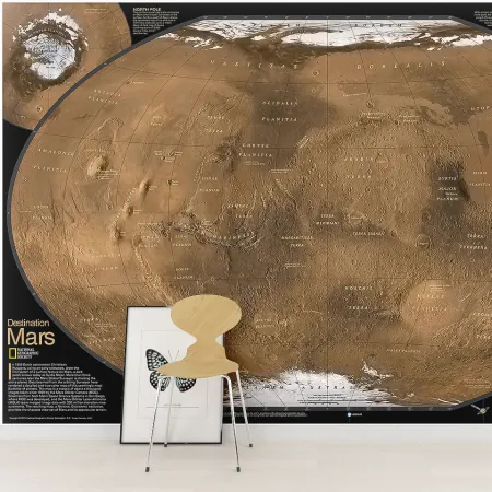 Фотообои Поверхность Марса, арт. 51014, пример фотообоев на стене