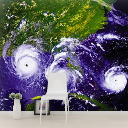 Фотообои Ураган Эндрю, арт. 52004, пример фотообоев на стене