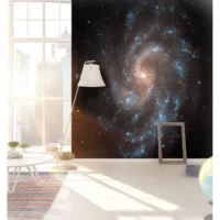 Фотообои Спиральная Галактика, арт. 52048, пример фотообоев в интерьере