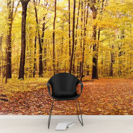 Фотообои Панорама Осень, арт. 54014, пример фотообоев на стене