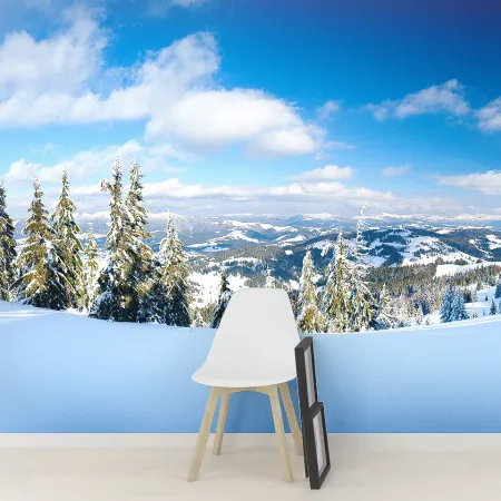 Фотообои Зимняя панорама, арт. 54018, пример фотообоев на стене