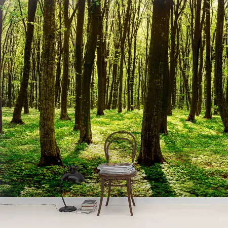 Фотообои Зеленый лес, арт. 54071, пример фотообоев на стене