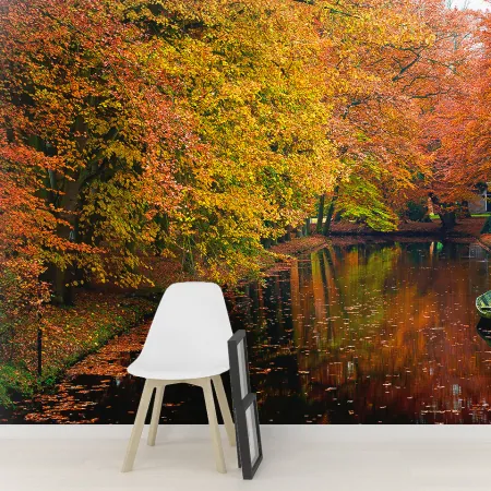 Фотообои Осенний Парк, арт. 55328, пример фотообоев на стене