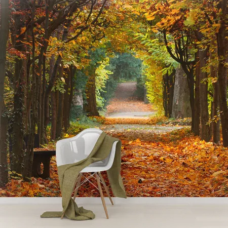 Фотообои Осенний Парк, арт. 55360, пример фотообоев на стене