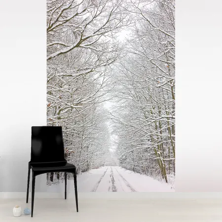 Фотообои Зимняя Дорога, арт. 55455, пример фотообоев на стене