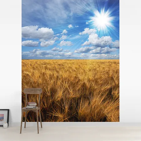 Фотообои Пшеничное Поле, арт. 55533, пример фотообоев на стене