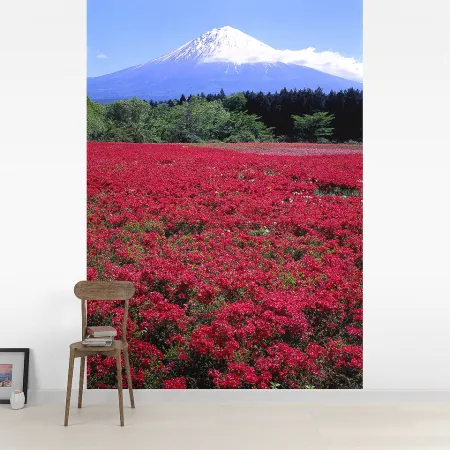 Фотообои Поле красных цветов. Япония, арт. 55552, пример фотообоев на стене