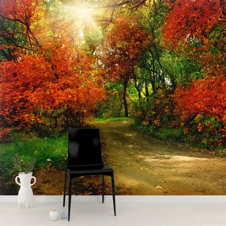Фотообои Красочная осень, арт. 55555, пример фотообоев на стене