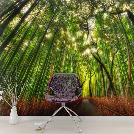 Фотообои Бамбуковый лес, арт. 55579, пример фотообоев на стене