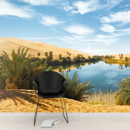 Фотообои Оазис в пустыне, арт. 55589, пример фотообоев на стене
