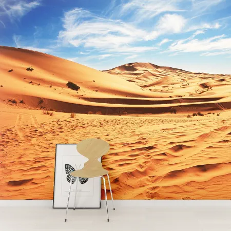 Фотообои Пустыня, арт. 55590, пример фотообоев на стене