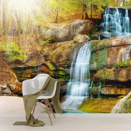 Фотообои Лесной ручей осенью, арт. 55596, пример фотообоев на стене
