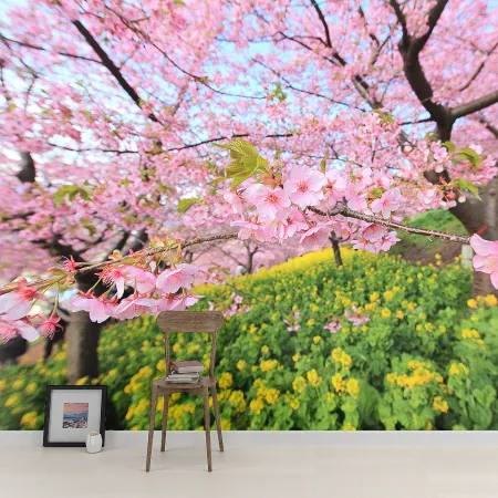 Фотообои Цветущая сакура, арт. 55606, пример фотообоев на стене