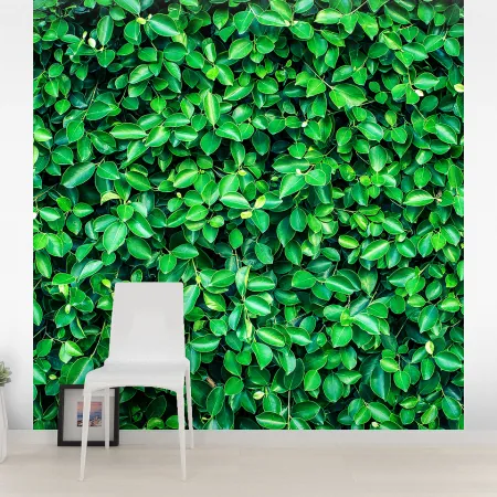 Фотообои Зеленая стена, арт. 55663, пример фотообоев на стене