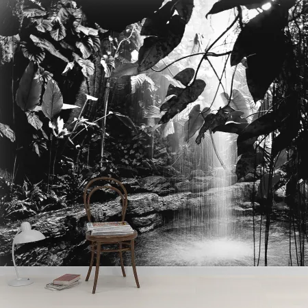 Фотообои Чёрно - белый тропический лес, арт. 55669, пример фотообоев на стене