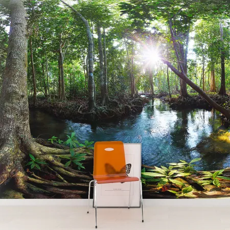 Фотообои Панорама джунглей, арт. 55673, пример фотообоев на стене