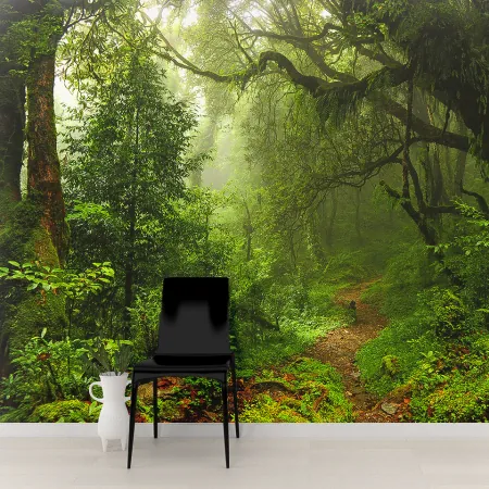 Фотообои Тропический лес, арт. 55674, пример фотообоев на стене