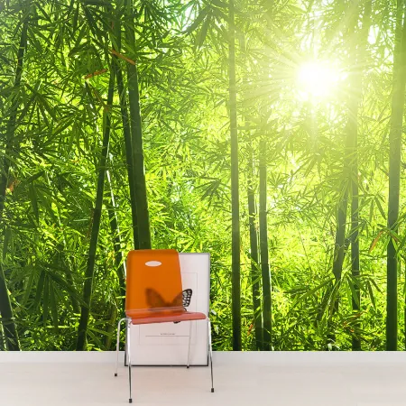 Фотообои Бамбуковый лес, арт. 55690, пример фотообоев на стене