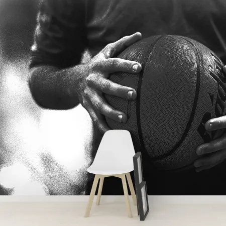 Фотообои Баскетбольный мяч, арт. 56044, пример фотообоев на стене