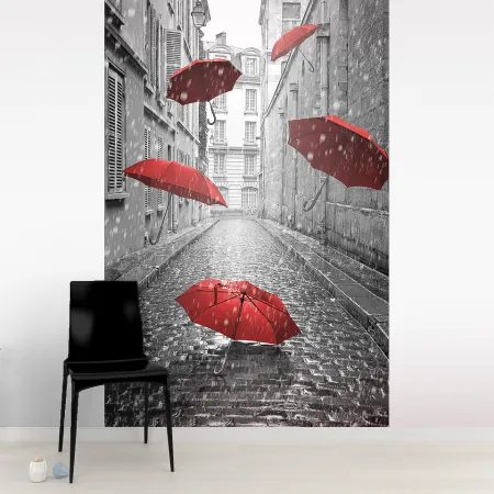 Фотообои Дождь в Париже, арт. 58246, пример фотообоев на стене