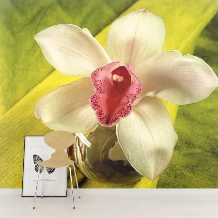 Фотообои Орхидея, арт. 60004, пример фотообоев на стене
