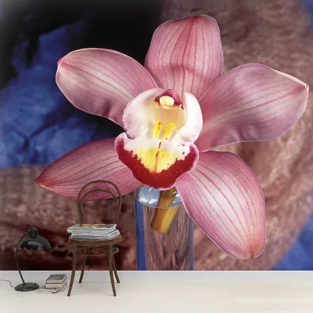 Фотообои Орхидея, арт. 60054, пример фотообоев на стене